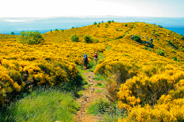 Wandern in den wilden Bergen der Ardèche